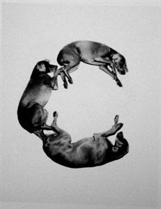 Image description is not available for 2001.061